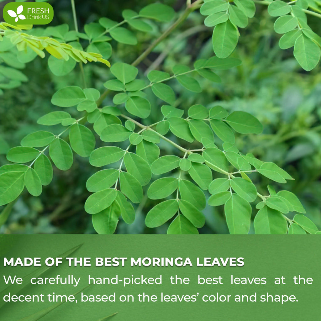 Moringa Leaf Tea Bags, 100% Natural & Pure from Moringa Leaves. Loose Leaf Moringa Herbal Tea. Moringa Leaf Tea. No Sugar, No Caffeine, No Gluten, Vegan