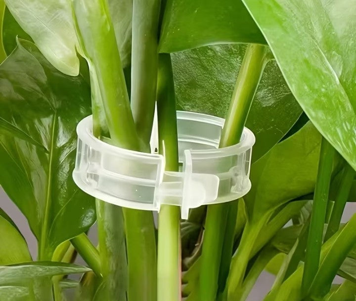 Plant Support Clips Clear Plastic