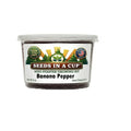Banana Pepper Grow Kit | Seeds In A Cup®