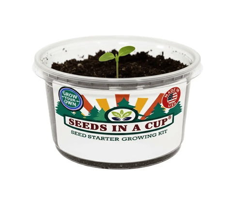 Banana Pepper Grow Kit | Seeds In A Cup®